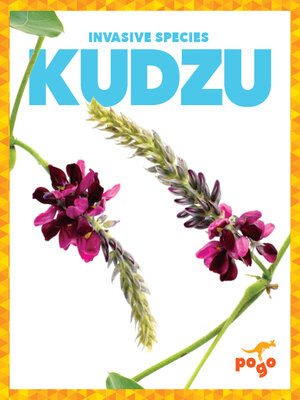 cover image of Kudzu